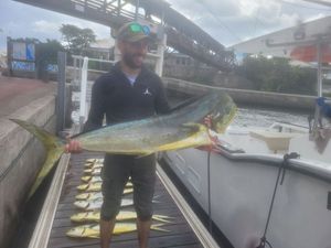 Dolphinfish
