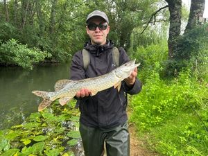 Northern Pike