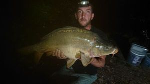Leather Carp