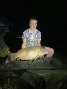 Mirror Carp