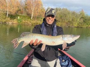 Northern Pike