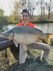 Mirror Carp