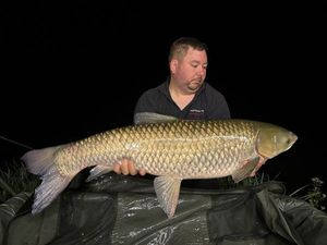 Grass Carp