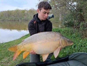Mirror Carp