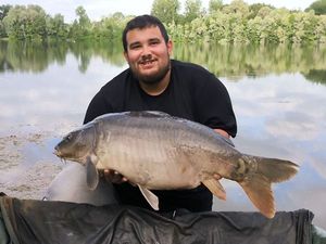 Mirror Carp