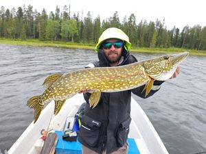 Northern Pike