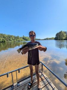 Largemouth Bass