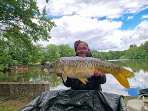 Mirror Carp