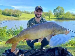 Mirror Carp
