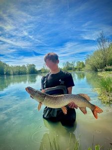 Northern Pike