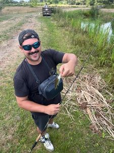 Achigan à Petite Bouche (Black-Bass)