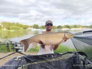 Grass Carp
