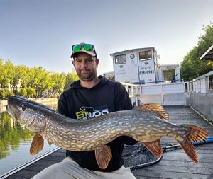 Northern Pike