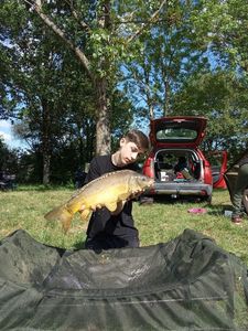 Mirror Carp