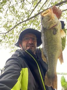 Largemouth Bass