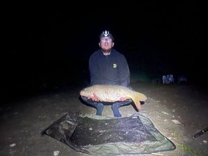 Mirror Carp