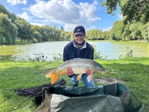 Common Carp