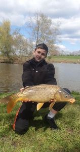 Common Carp