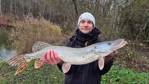 Northern Pike