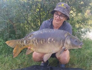 Mirror Carp
