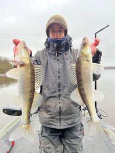 Zander