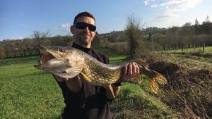 Northern Pike