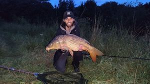 Common Carp