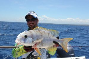 Blue-Lined Large-Eye Bream