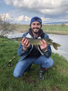 Northern Pike