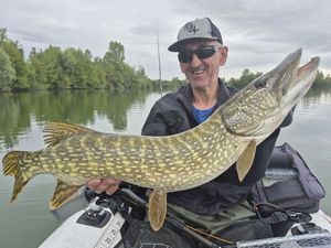 Northern Pike
