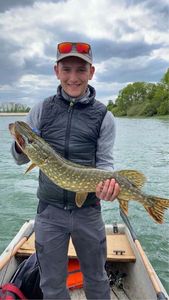 Northern Pike
