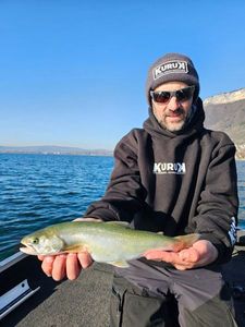 Arctic Char