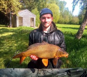 Common Carp