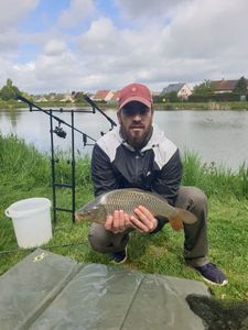 Common Carp