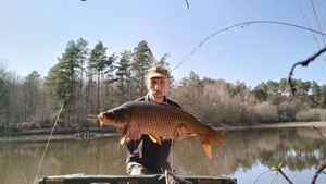 Common Carp