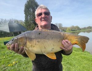 Mirror Carp