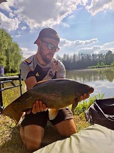 Tench