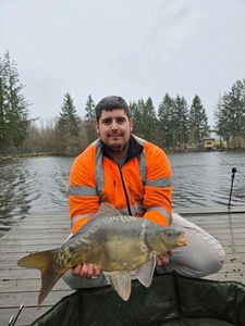 Mirror Carp