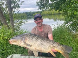 Common Carp