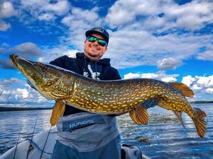 Northern Pike
