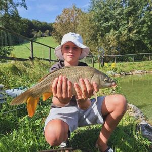 Common Carp