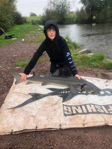 Sturgeon