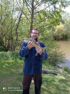 Zander