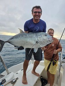 Giant Trevally (GT)