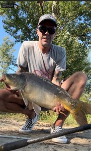 Mirror Carp