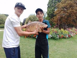 Mirror Carp