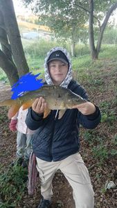 Leather Carp