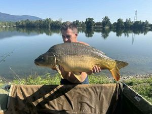 Mirror Carp