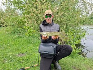 Northern Pike