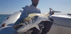 Leerfish (Garrick)